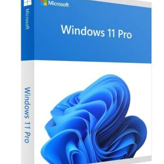 Win Pro FPP 11 64-bit Eng Intl USB, 