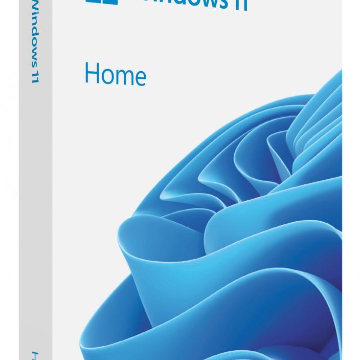 WIN 11 HOME FPP P2 32-bit/64-bit RO USB 