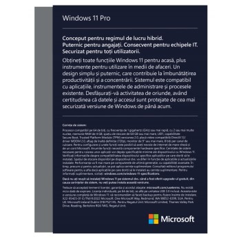 Win 11 Pro FPP P2 32-bit/64-bit RO USB 