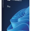 Win 11 Pro FPP P2 32-bit/64-bit RO USB 
