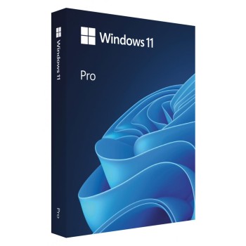 Win 11 Pro FPP P2 32-bit/64-bit RO USB 