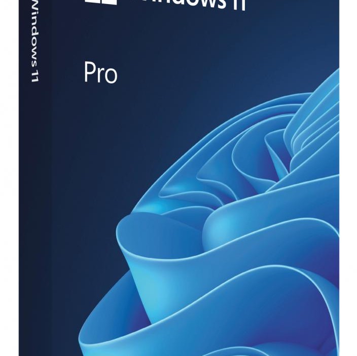 Win 11 Pro FPP P2 32-bit/64-bit RO USB 