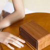 BOXE EDIFIER portabile bluetooth, RMS: 20W (10W+10W), BT 5.0, AUX, microSD, USB, built-in Li-ion pana la 10h (2600mAh),retro design (vintage radio 1960s),MDF,brown, 