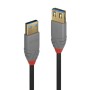 Cablu Lindy 0,5m USB 3.1 Gen1 EXT A/A, 