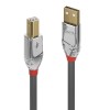 Cablu Lindy 3m USB 2.0 Type A to B Cromo, 