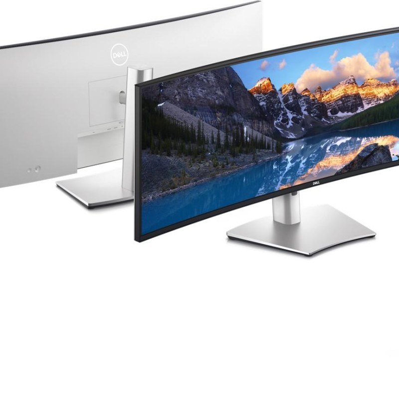 DL MON CURVED 49