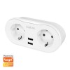 PRIZA INTELIGENTA LOGILINK, Wi-Fi Smart,Schuko x 2, USB x 2 5V/2.4A max. 12W,prot. Supracurent / supratensiune,  IP20, compatibil TUYA, Amazon Alexa si Google Home, alb 