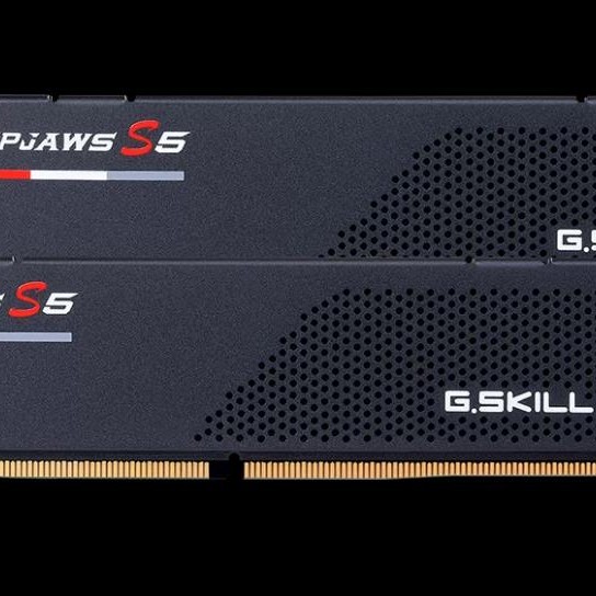 DDR G.Skill MEMORY DIMM 32GB DDR5-5600 K2/F5-5600J4040C16GX2-RS5 G.SKILL 