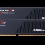 DDR G.Skill MEMORY DIMM 32GB DDR5-5600 K2/F5-5600J4040C16GX2-RS5 G.SKILL 