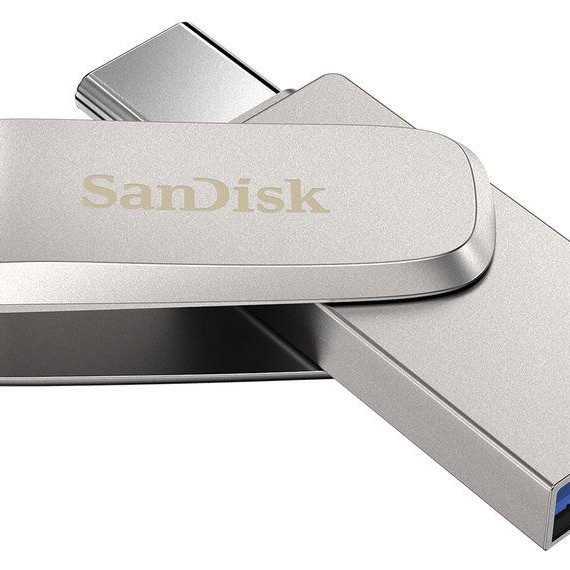 USB 256 GB SANDISK SDDDC4-256G-G46 