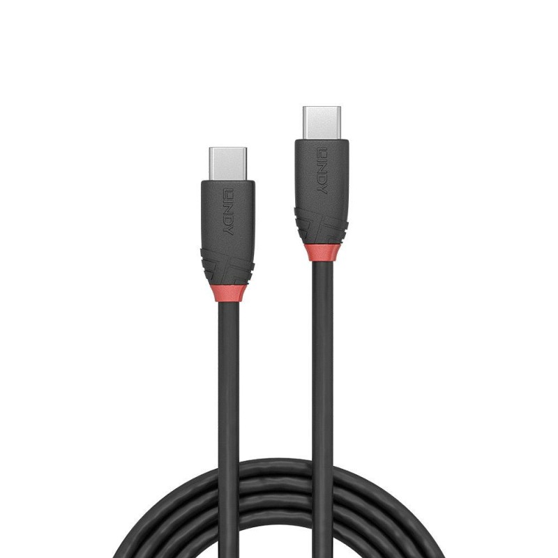 Cablu Lindy 1m USB 3.2 Type C to C 200gp 