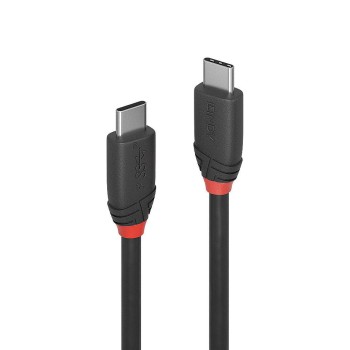 Cablu Lindy 1m USB 3.2 Type C to C 200gp 