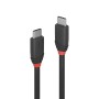 Cablu Lindy 1m USB 3.2 Type C to C 200gp 
