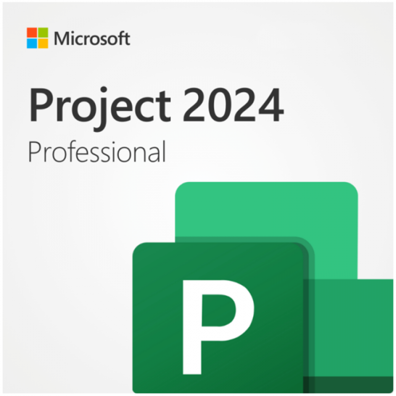 SW PROJECT PROFESSIONAL 2024 MS 