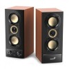 BOXE GENIUS 2.0, RMS: 14W (2 x 10W), wood, Bluetooth, 