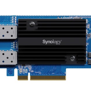 Synology E25G30-F2 