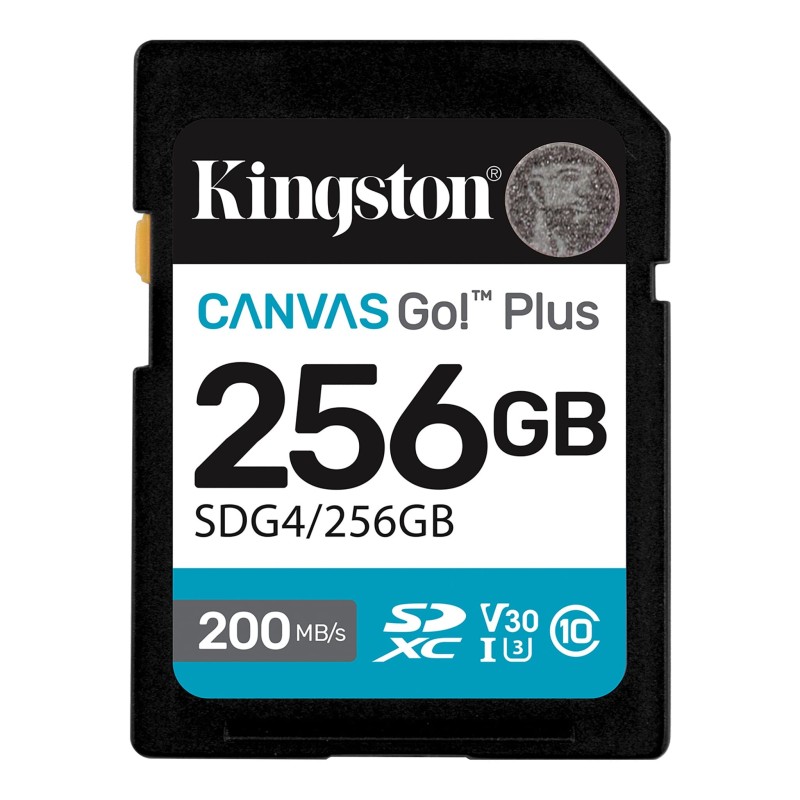 SD Kingston Canvas GO Plus 256GB AD 