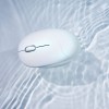 ASUS MD101 MOUSE WHITE 