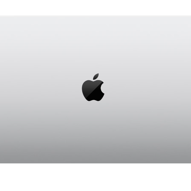 APPLE MBP16 M4 Pro(14/20) 24GB 1TB SL 