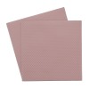 Thermal Grizzly TG Minus Pad 8 - 100x 100x 0,5 mm - 2 pcs 