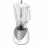 Blender Esperanza Pina Colada EKM023E 350 W 1.5l Alb/Argintiu 