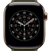 AW BAND 42MM MAGNETIC LINK SAGE GRAY M/L 