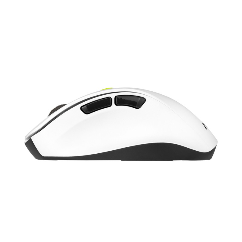 ASUS MW203 Blue Mouse 
