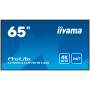 65