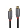 Cablu Lindy 3m USB 3.2 C to C 10Gbps 