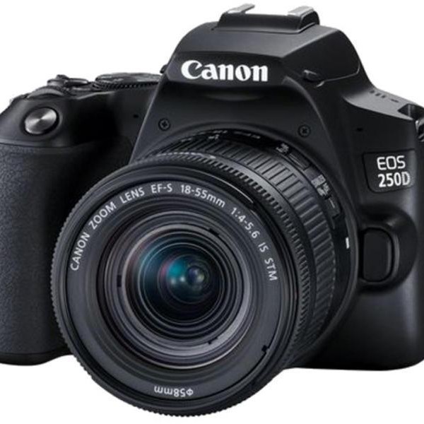 Camera foto CANON DSLR EOS 250D+18-55 IS STM kit,24.1MP,Dual Pixel CMOS,LCD 3