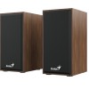 BOXE GENIUS 2.0, RMS:  6W (2 x 3W), USB power, wood, 