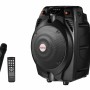 BOXE portabile AKAI, troller 1.0, RMS 30 W, microfon wireless, Bluetooth, cu fir,telecomanda wireless, conector Bluetooth, alimentare 220V, Jack 3.5mm, USB, negru, 
