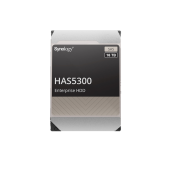 HDD SYNOLOGY 16TB, 7.200 rpm, buffer 256 MB, pt server, 